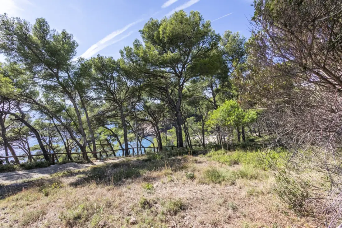 Studio Athena -
