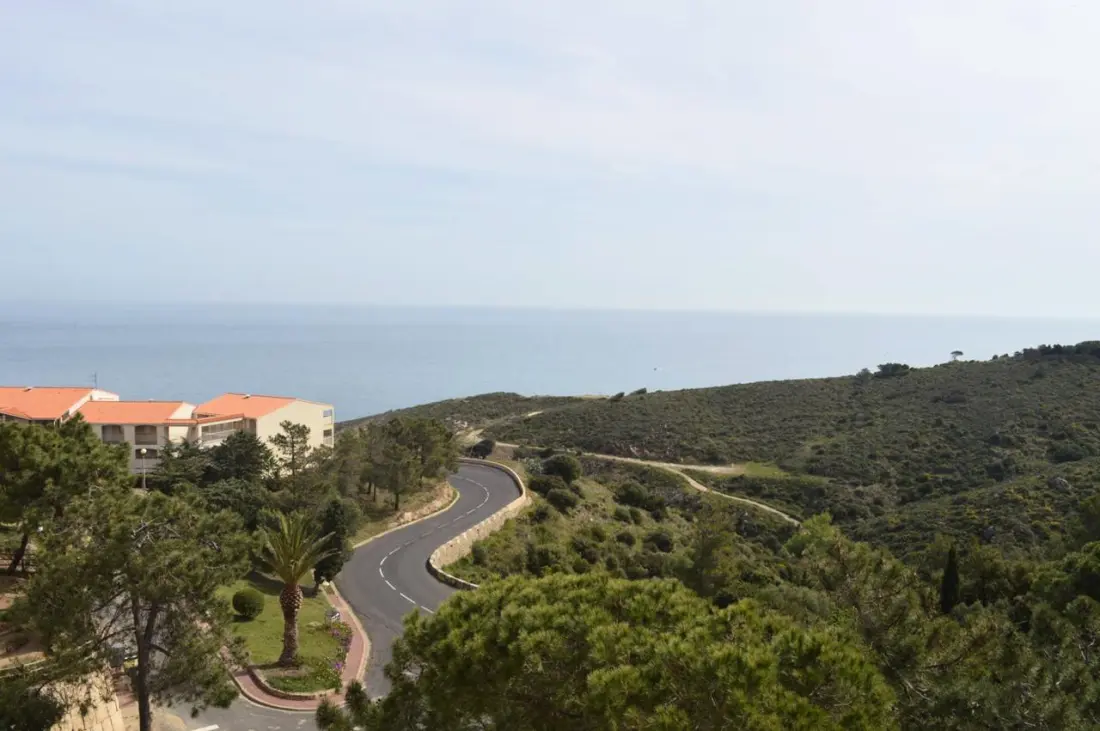 Castell Bear Residence