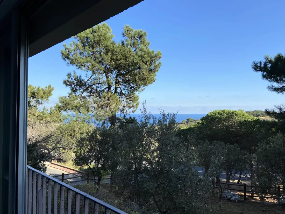 Castell Bear Residence