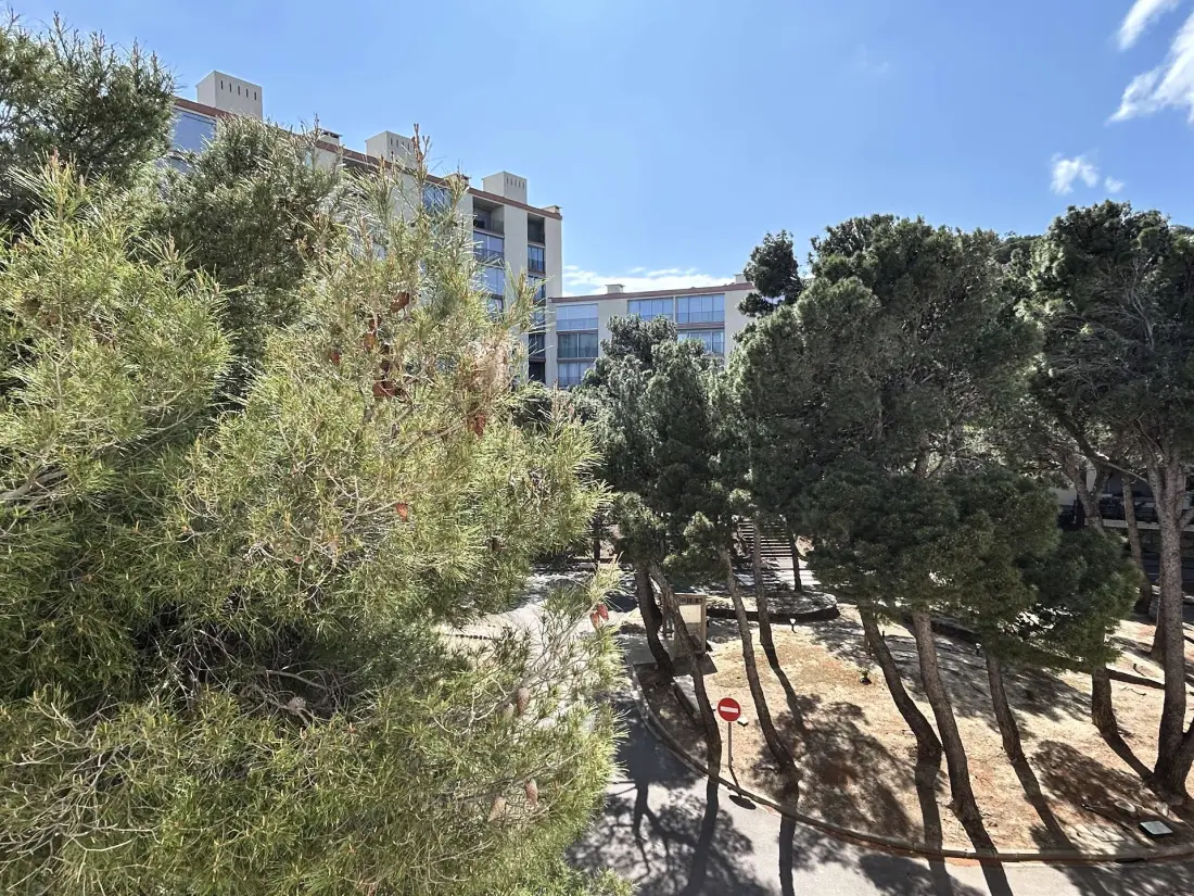 Castell Bear Residence