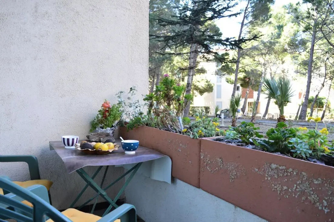 Castell Bear Residence