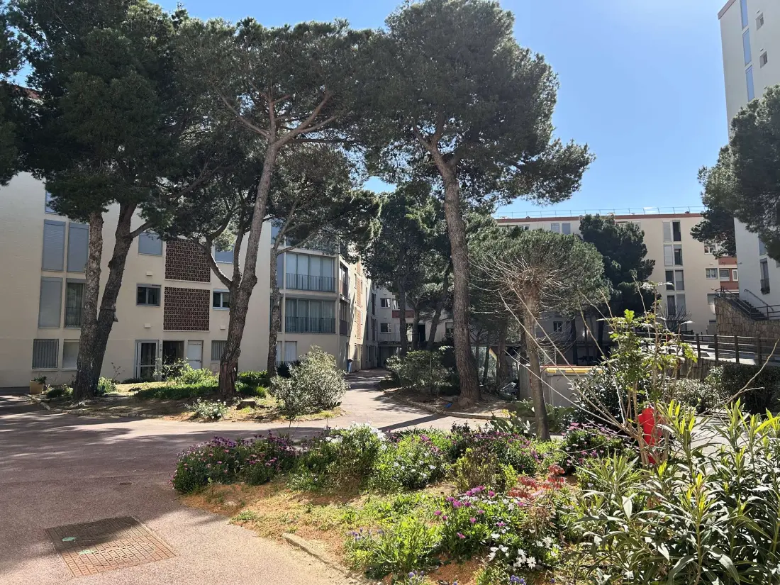 Castell Bear Residence