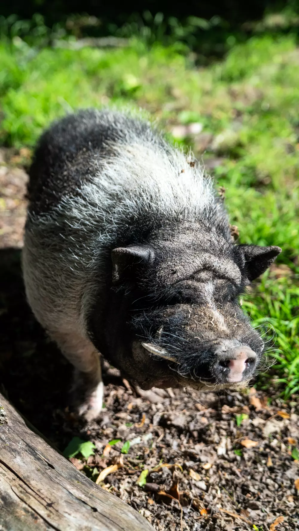 Dorf der Champagne 2 Sterne★★