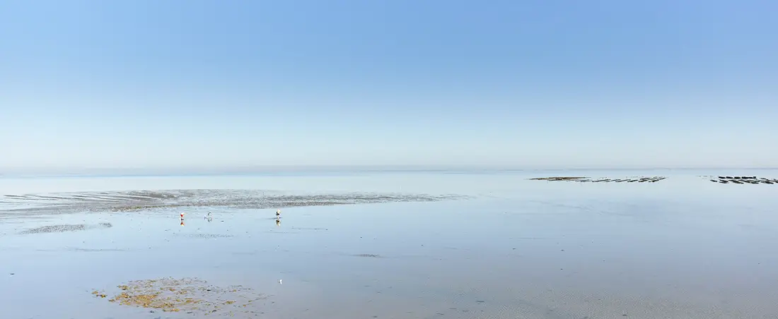 Ház Barbâtre - Ile de Noirmoutier