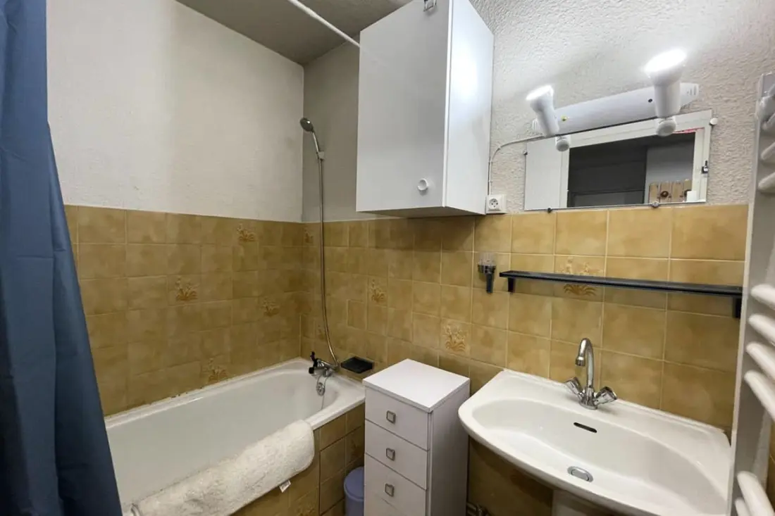 Apartment 55 M2 With Balcony and View Pra-loup