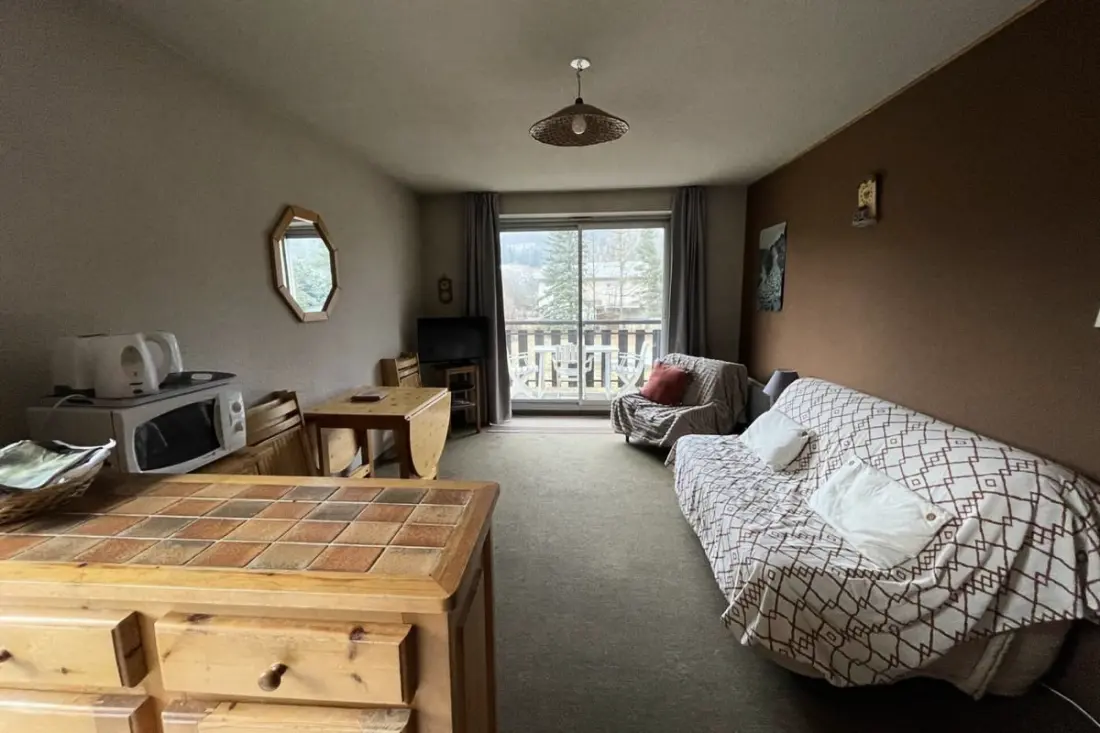 Apartment 55 M2 With Balcony and View Pra-loup