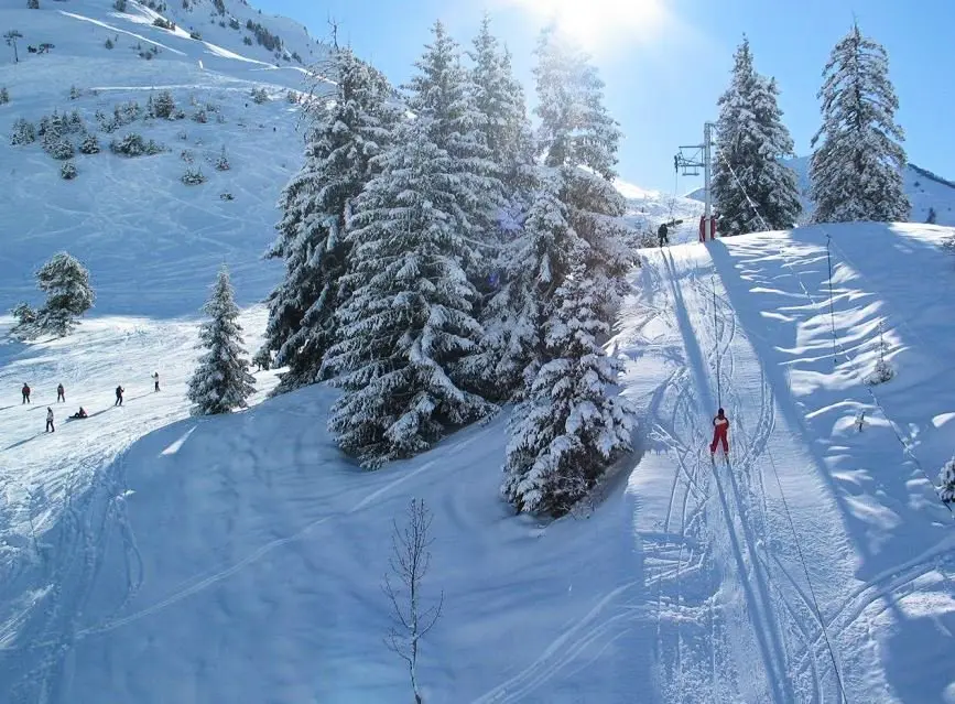 Artigalas rezidencia