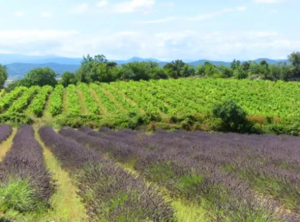 Residence Lagrange Vacances Grand Bleu La Closerie /