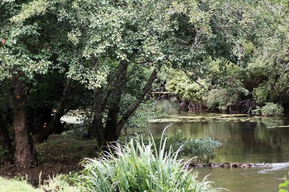 Auberoche campingplads 3 Stjerner★★★