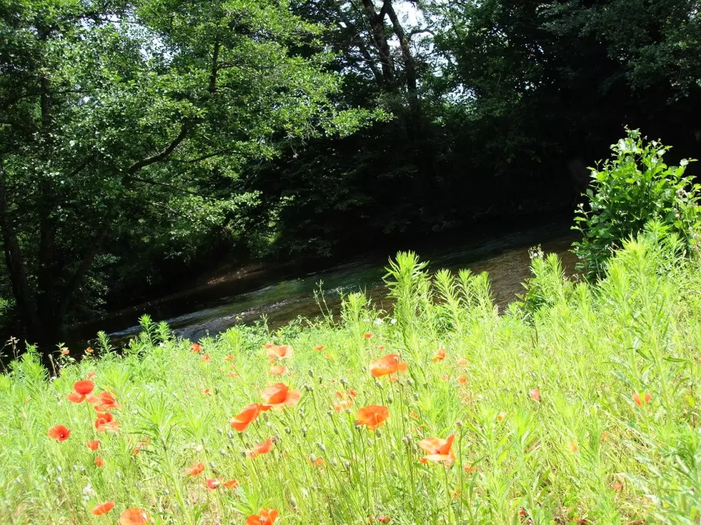 Auberoche campingplads 3 Stjerner★★★