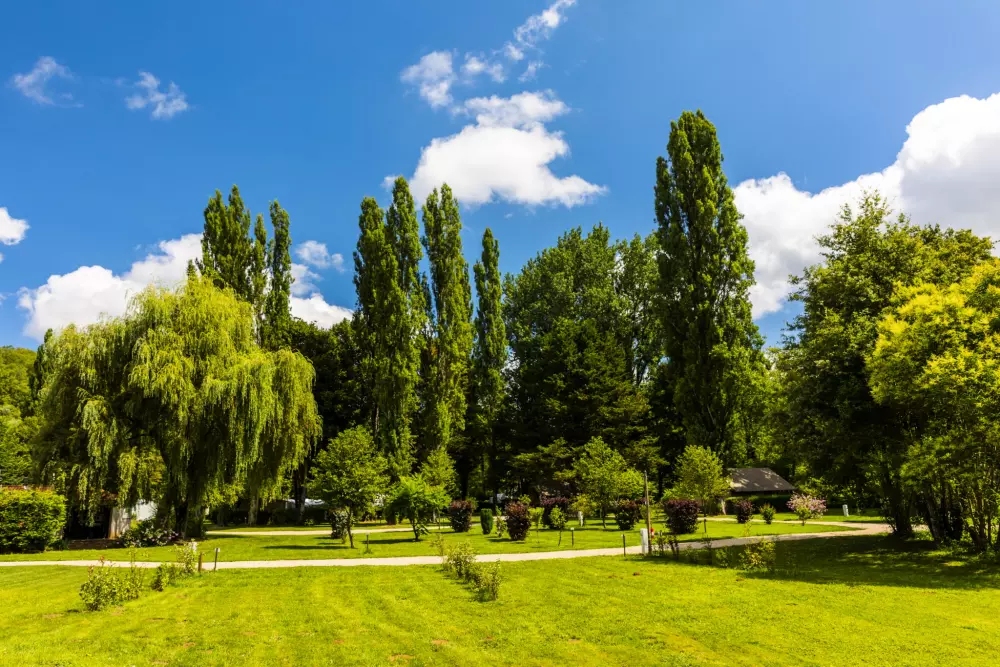 Auberoche campingplads 3 Stjerner★★★