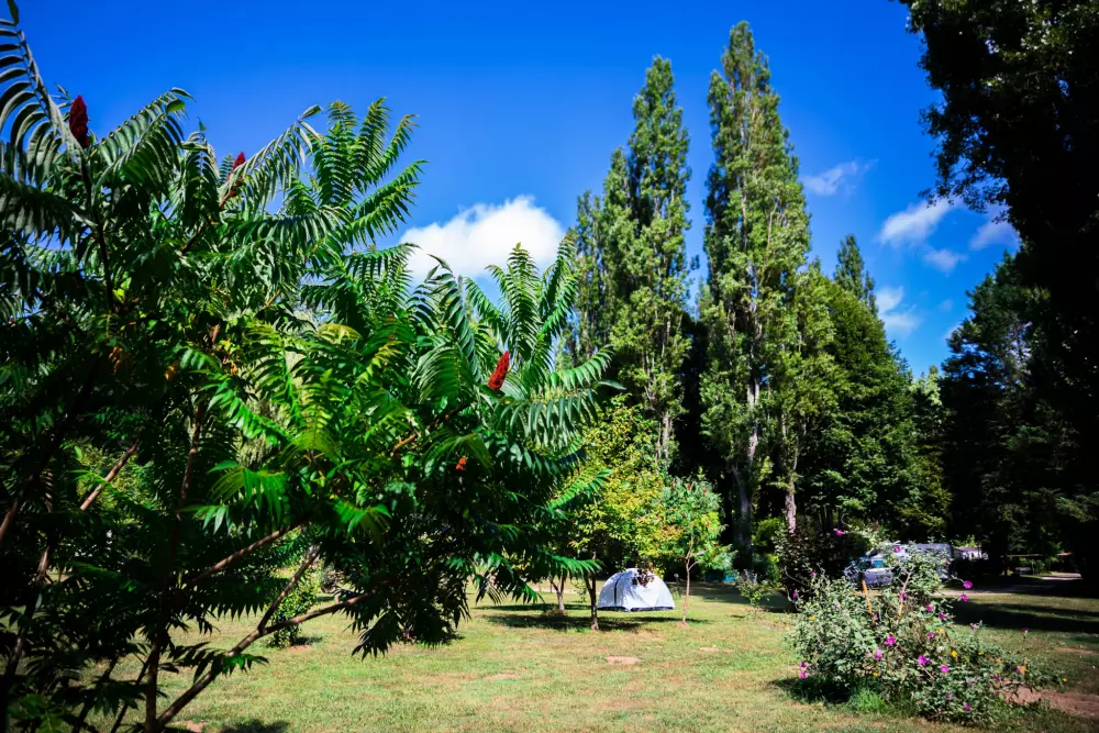 Auberoche campingplads 3 Stjerner★★★