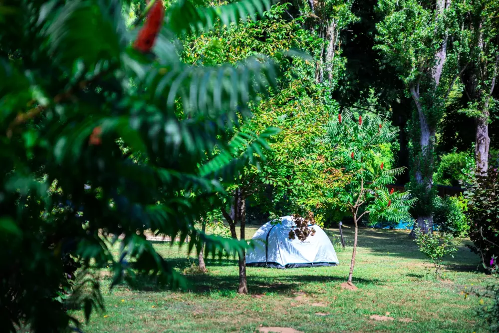 Auberoche campingplads 3 Stjerner★★★