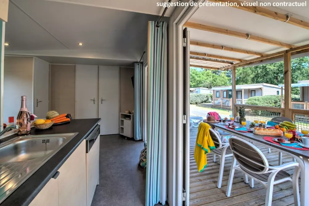 Kwiat Kemping Les Paluvior - Nie.