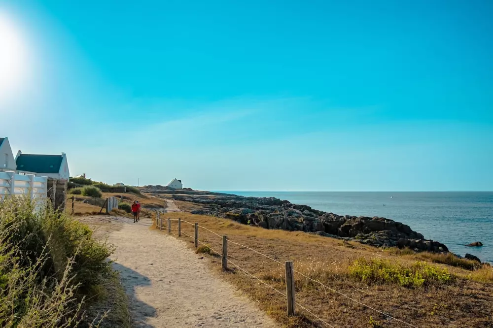 Kwiat Kemping Les Paluvior - Nie.