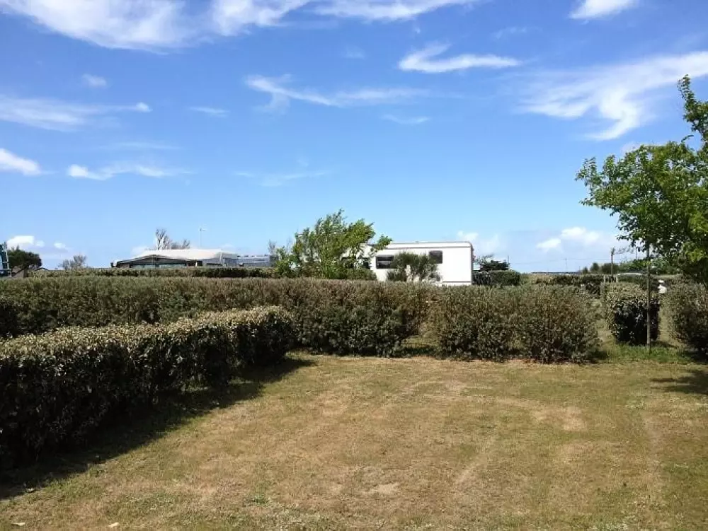 Kwiat Kemping Les Paluvior - Nie.