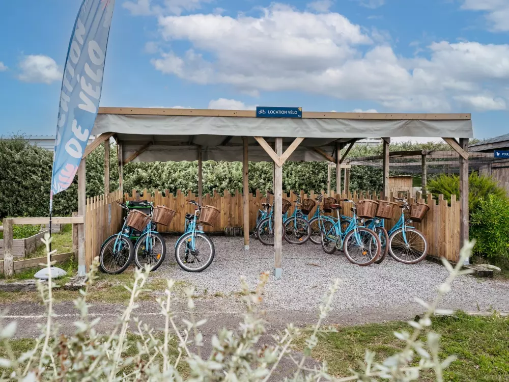 Kwiat Kemping Les Paluvior - Nie.