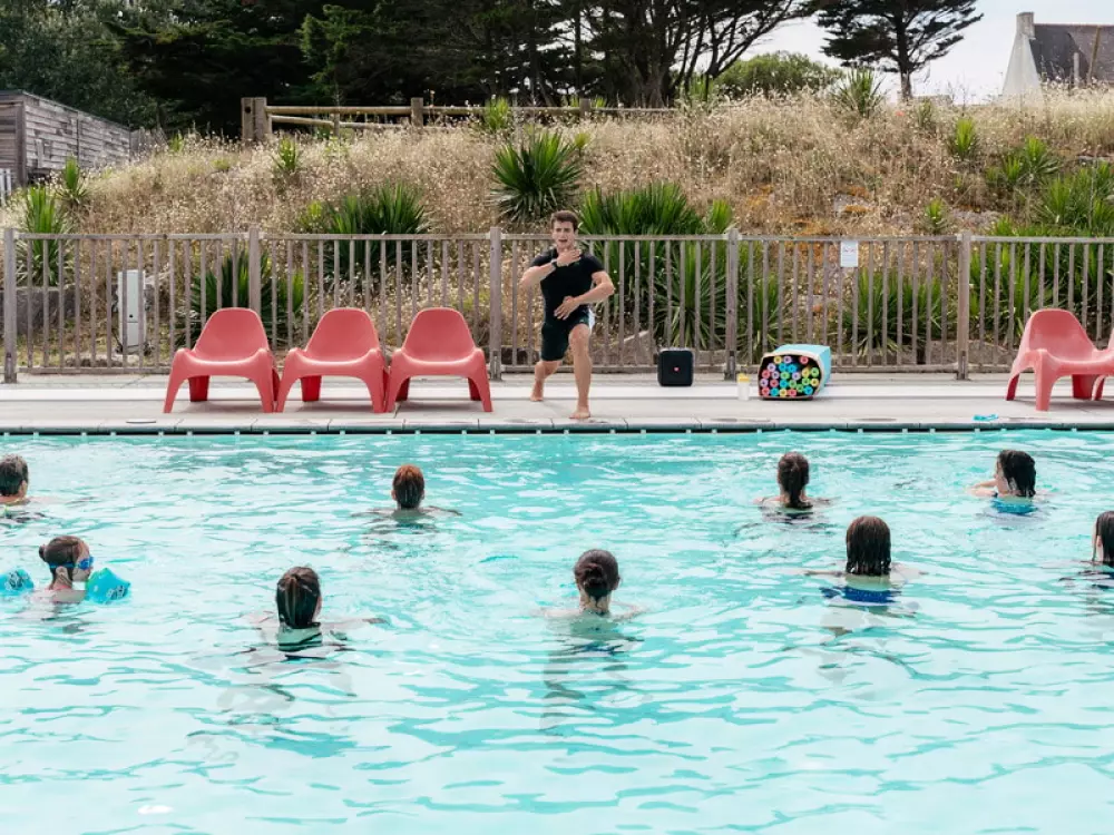 Kwiat Kemping Les Paluvior - Nie.