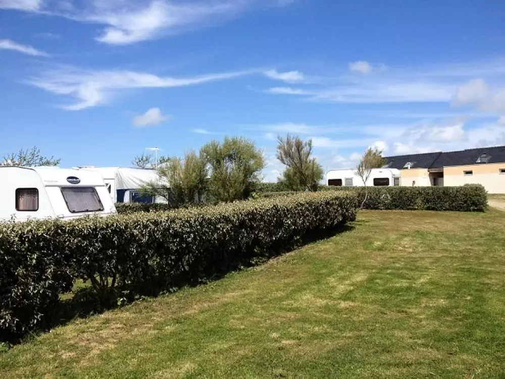 Kwiat Kemping Les Paluvior - Nie.