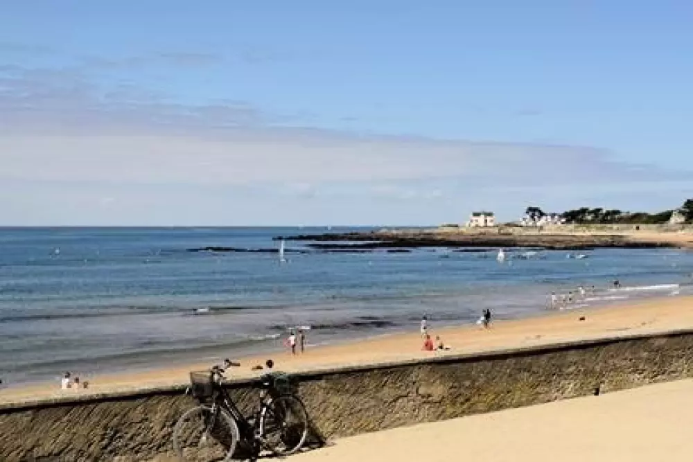 Kwiat Kemping Les Paluvior - Nie.