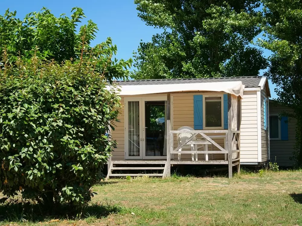 Kwiat Kemping Les Paluvior - Nie.