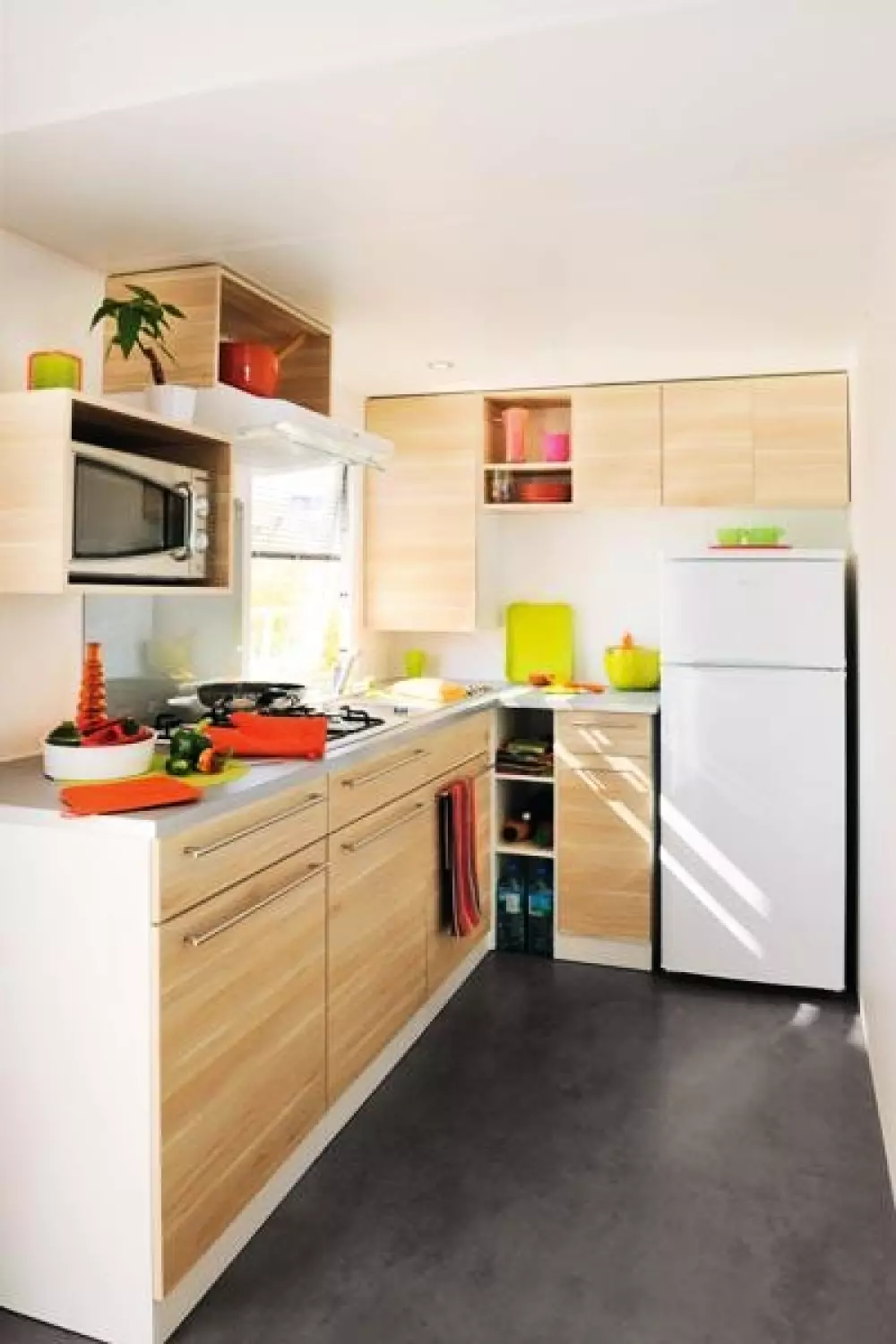 Kwiat Kemping Les Paluvior - Nie.