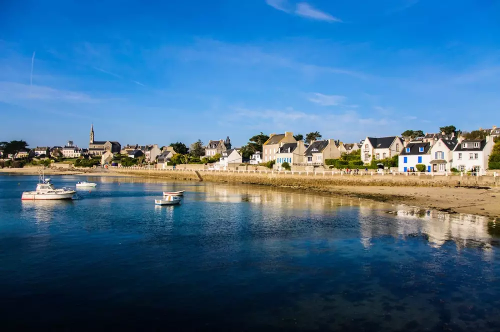 Kwiat Kemping Les Paluvior - Nie.