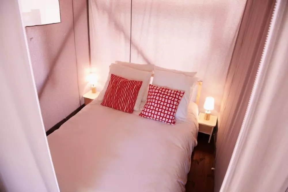 Kwiat Kemping Les Paluvior - Nie.