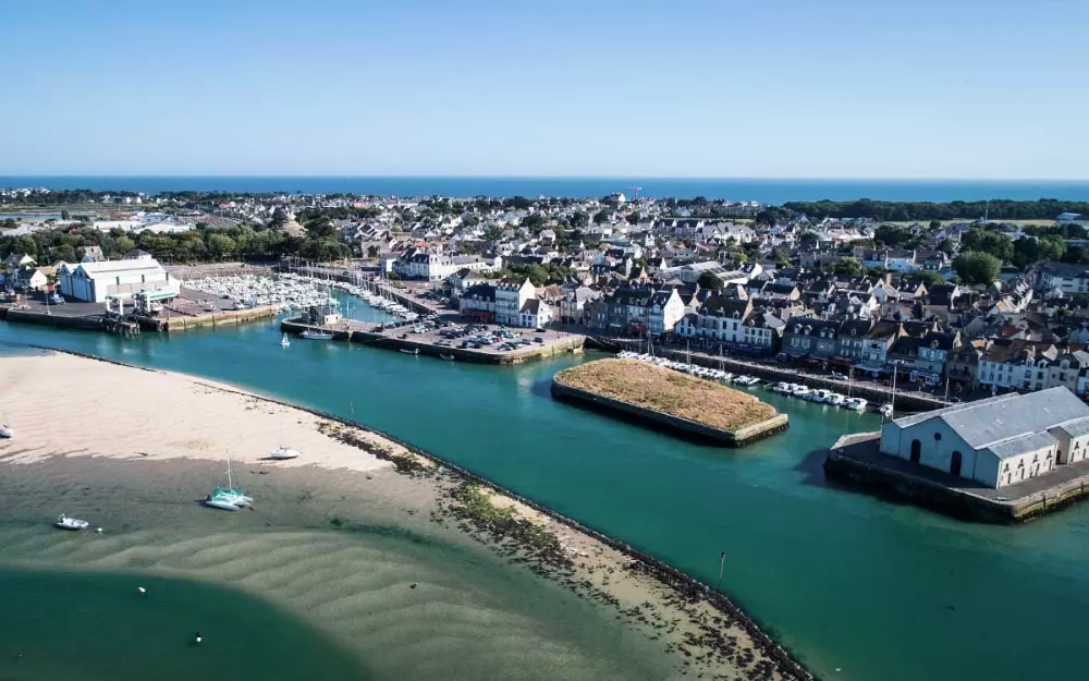 Kwiat Kemping Les Paluvior - Nie.