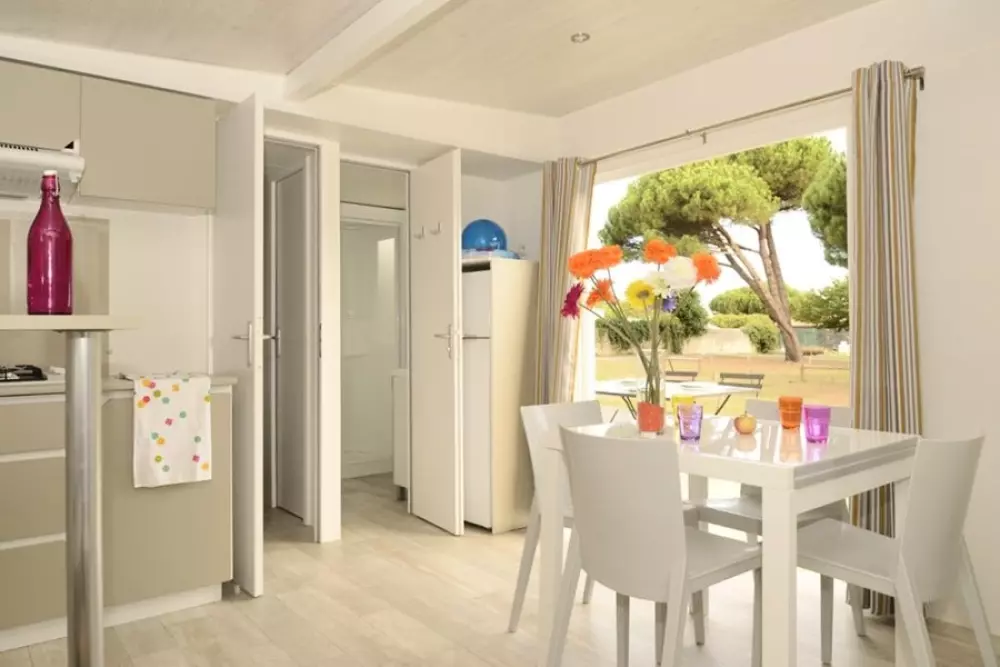 Kwiat Kemping Les Paluvior - Nie.