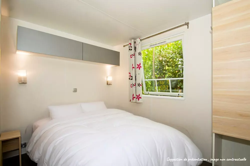 Kwiat Kemping Les Paluvior - Nie.