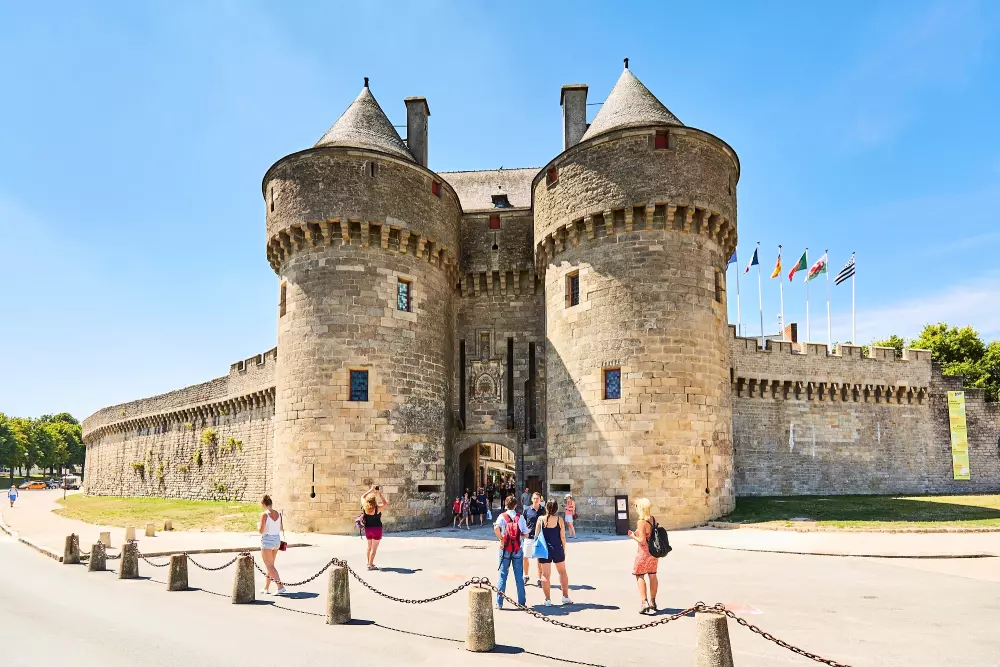 Kwiat Kemping Les Paluvior - Nie.