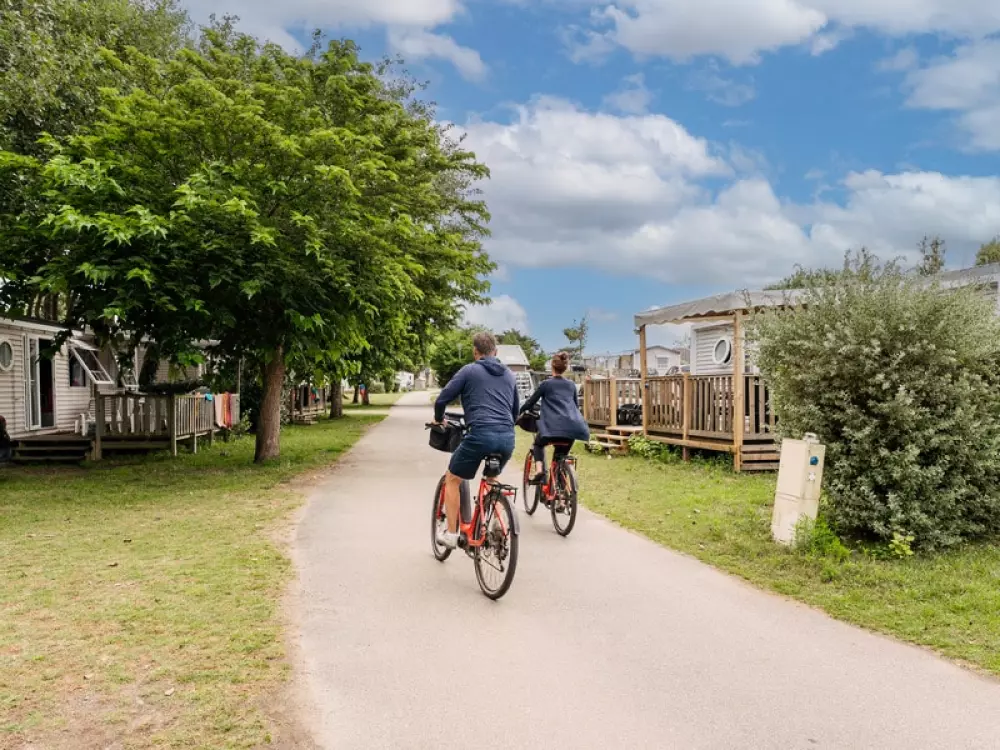 Kwiat Kemping Les Paluvior - Nie.