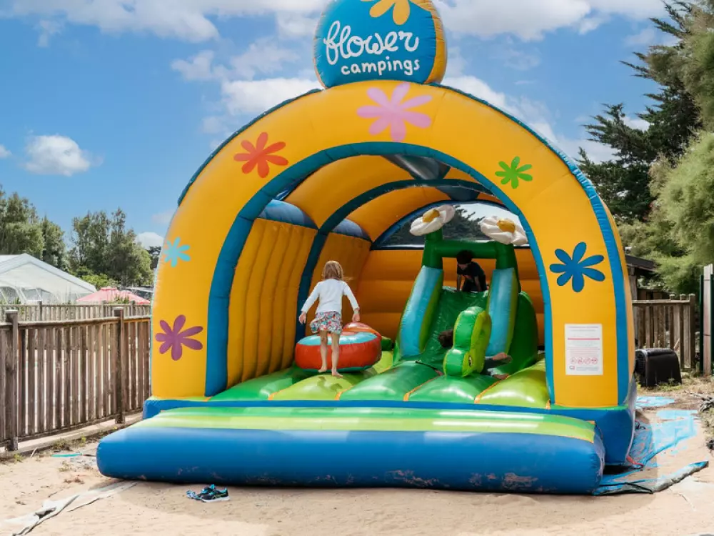 Kwiat Kemping Les Paluvior - Nie.