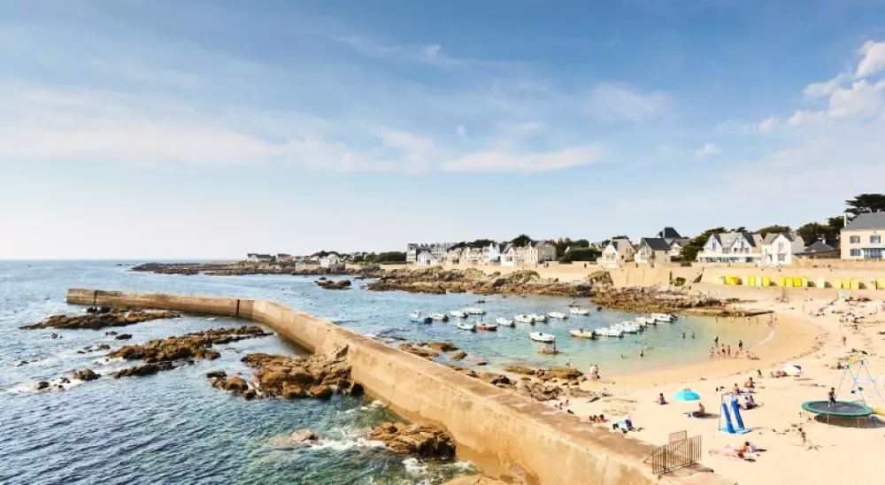 Kwiat Kemping Les Paluvior - Nie.