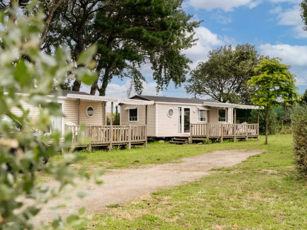 Kwiat Kemping Les Paluvior - Nie.