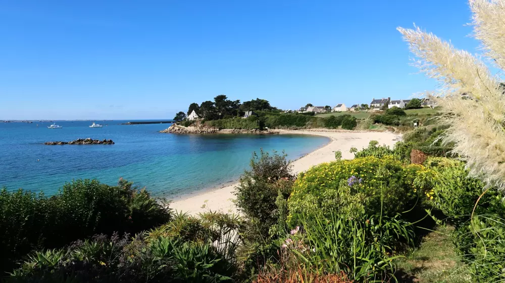 Kwiat Kemping Les Paluvior - Nie.