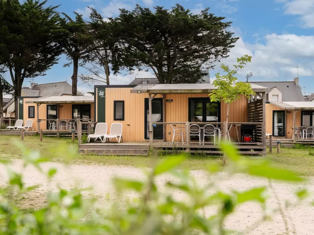 Kwiat Kemping Les Paluvior - Nie.