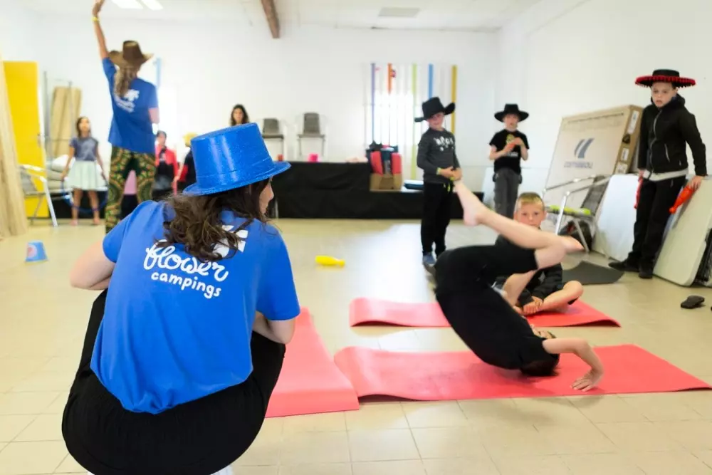 Kwiat Kemping Les Paluvior - Nie.