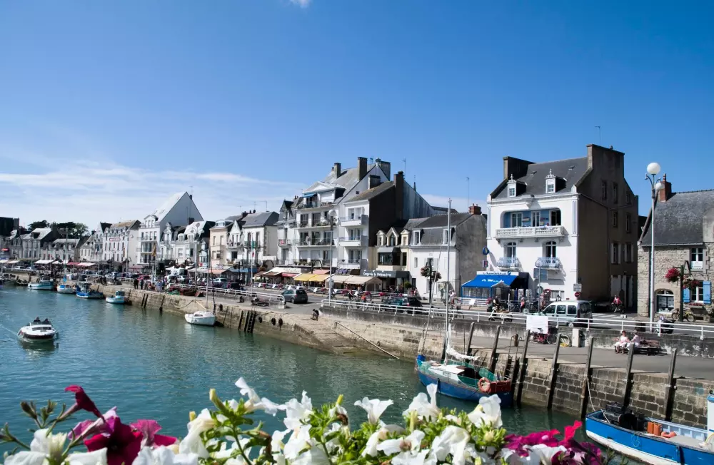 Kwiat Kemping Les Paluvior - Nie.