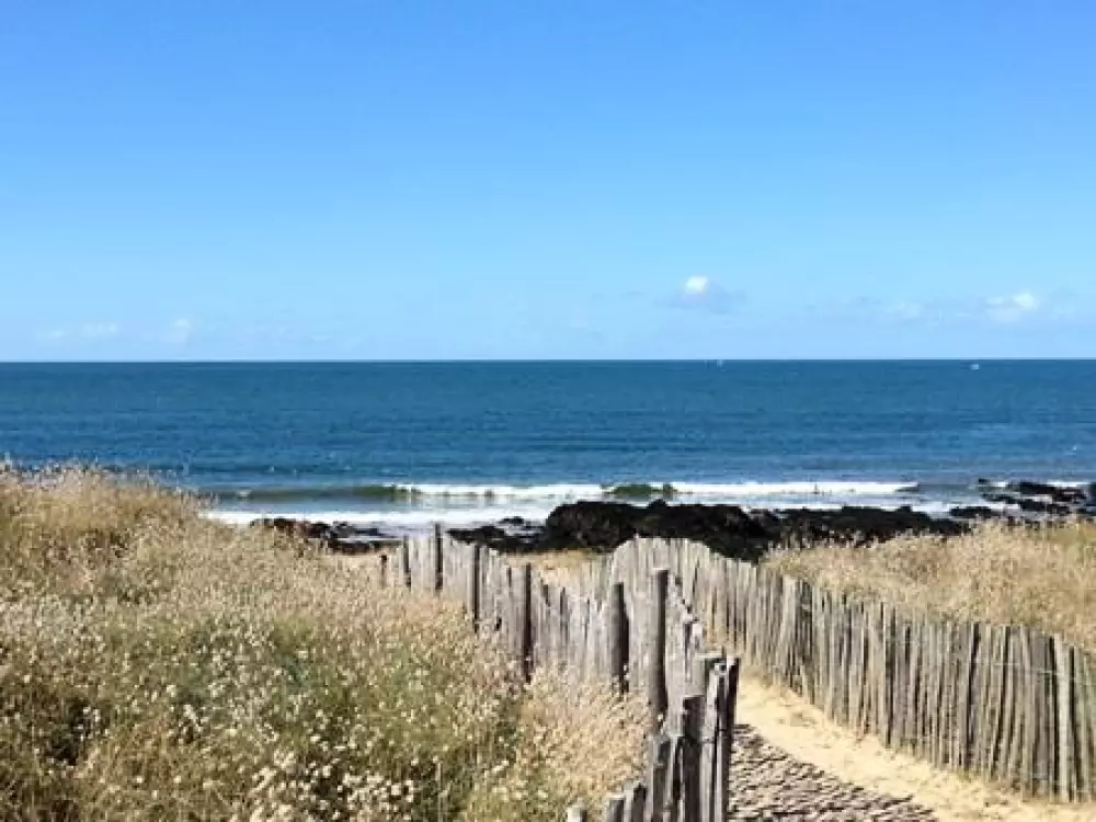 Kwiat Kemping Les Paluvior - Nie.