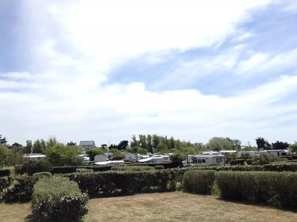 Kwiat Kemping Les Paluvior - Nie.