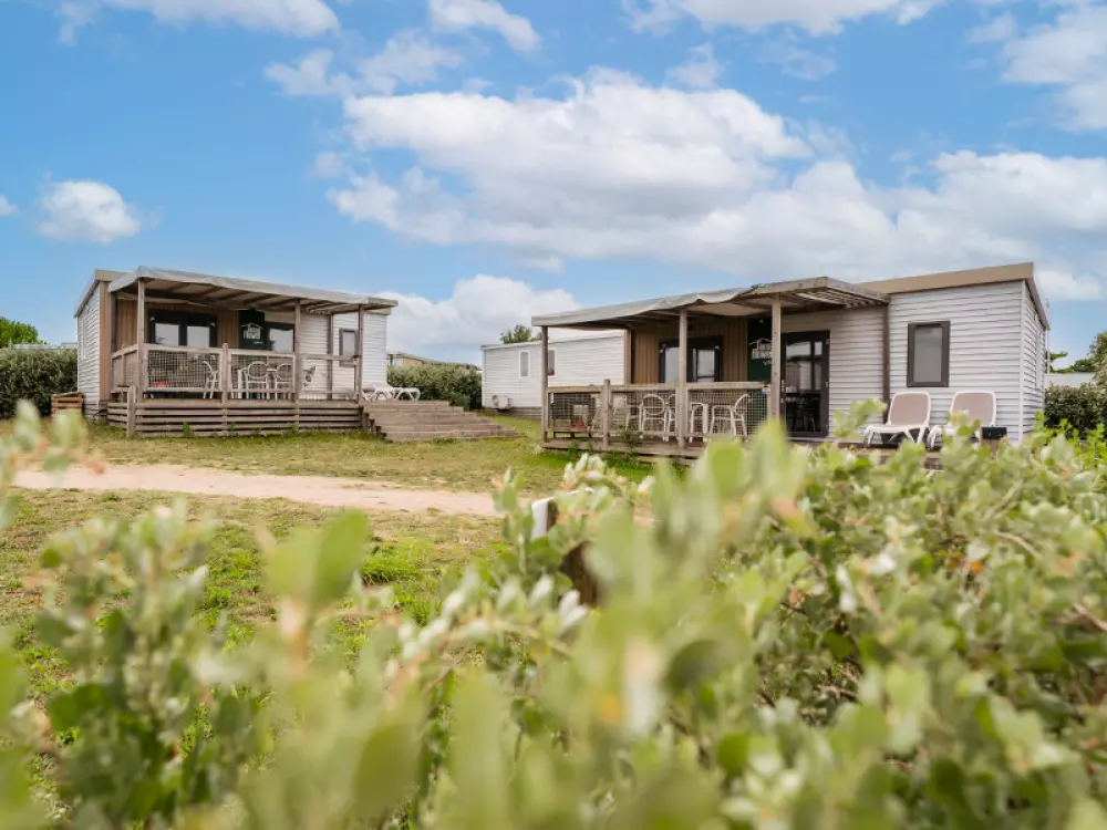 Kwiat Kemping Les Paluvior - Nie.