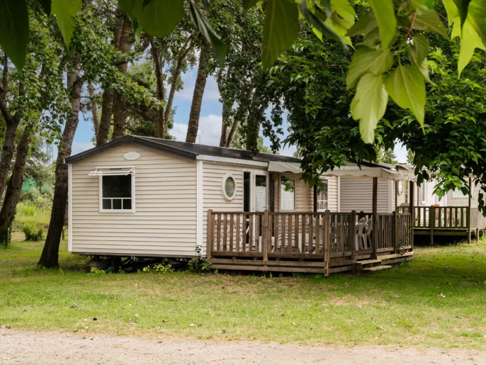 Kwiat Kemping Les Paluvior - Nie.