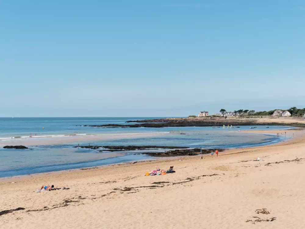 Kwiat Kemping Les Paluvior - Nie.