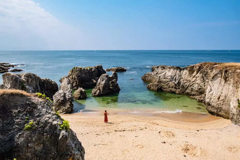 Kwiat Kemping Les Paluvior - Nie.