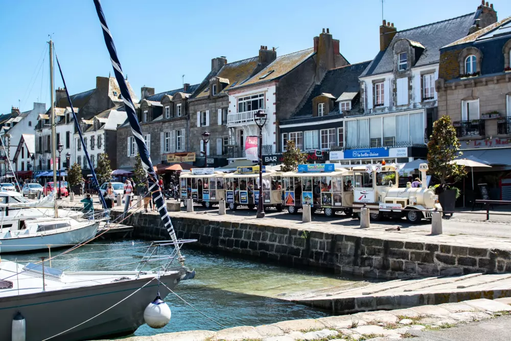 Kwiat Kemping Les Paluvior - Nie.