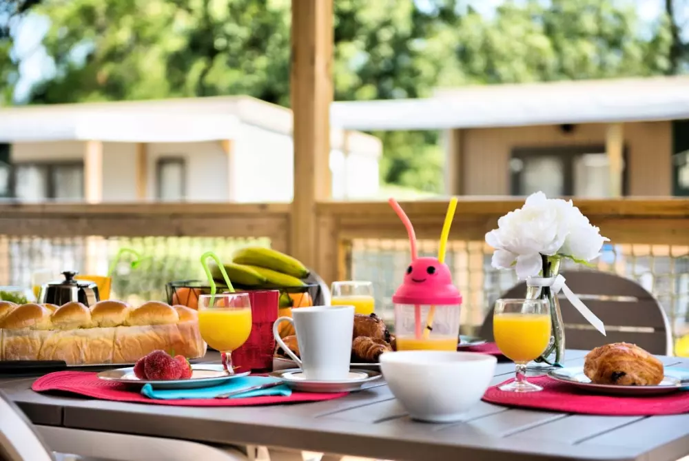 Kwiat Kemping Les Paluvior - Nie.