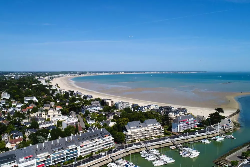 Kwiat Kemping Les Paluvior - Nie.