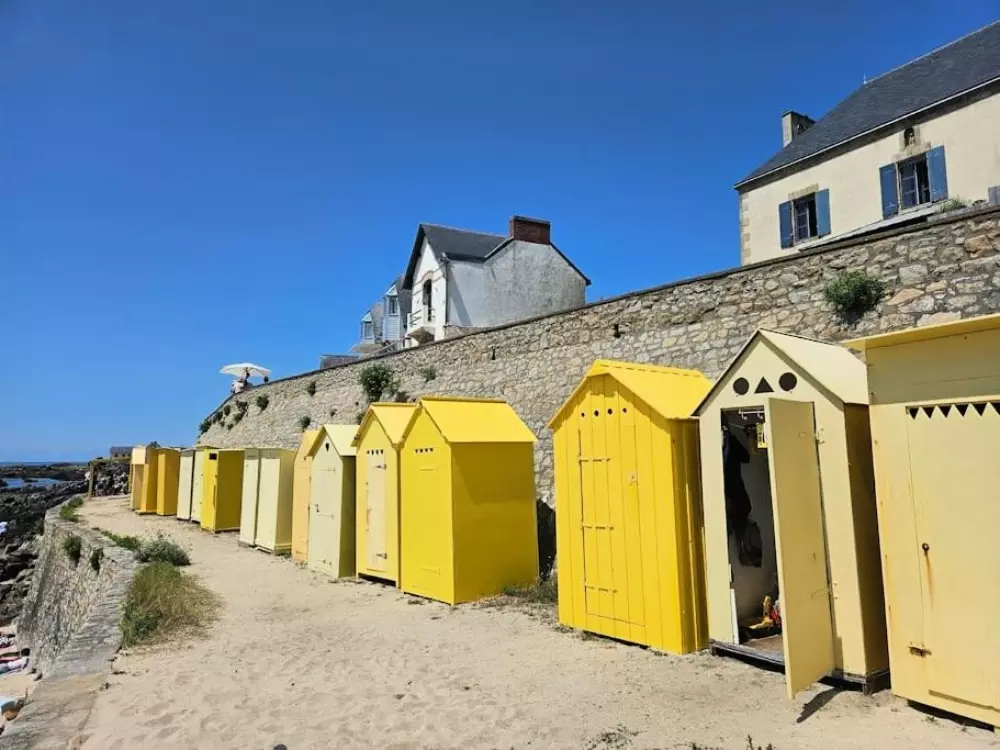 Kwiat Kemping Les Paluvior - Nie.